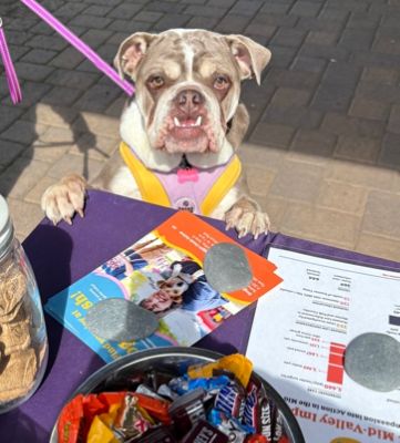 Oregon Humane Joins Capitol Subaru for a Day of Community & Compassion