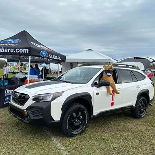 Subaru Supports Bark in The Park