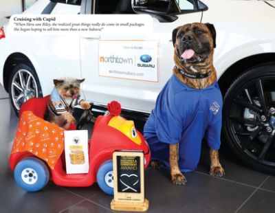 Northtown Subaru and White Whiskers Senior Dog Sanctuary