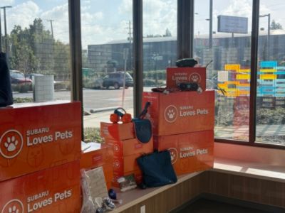 Subaru of Portland Loves Pets!