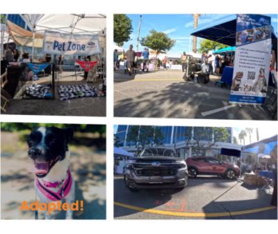 Subaru Sherman Oaks helps pets find their FURever homes at the Sherman Oaks Street Fair! 