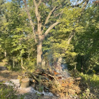 Beardmore Volunteers Lend a Hand at Fontenelle Forest