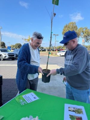 Distributing Trees in the Local Community