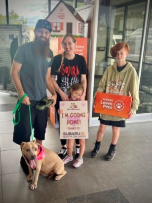 Hurricane Milton Didn't Stop Homeless Dogs from Finding Thier Furever Families!