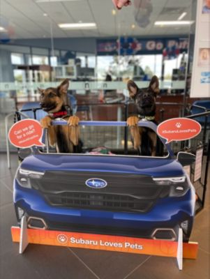 Woof, Woof Hooray for Northtown Subaru! 