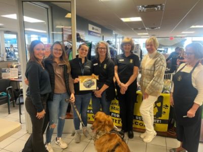 Subaru Dogs at our Dealer Adoption event with Golden Retriever Rescue of Michigan! 
