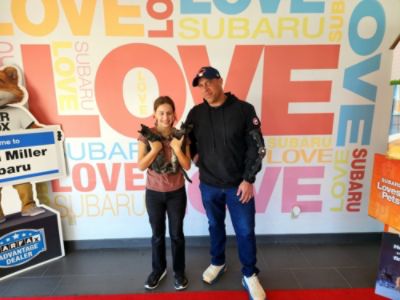 Dutch Miller Subaru Supports the Kanawha-Charleston Humane Association with Our Annual Pet Adoption