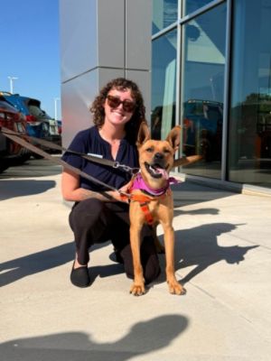 From Shelter to Showroom, Love Finds a Way