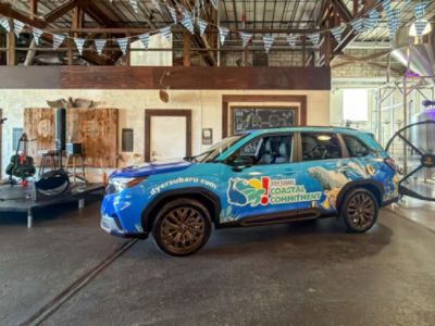 Dyer Subaru Sponsors IRC International Coastal Cleanup 2025