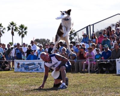 Dyer Subaru Makes a Pawsitive Difference at Bark in the Park
