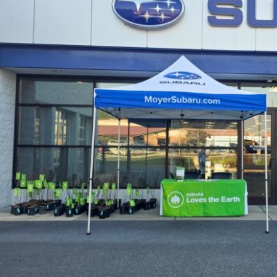 Subaru Loves the Earth Tree Giveaway
