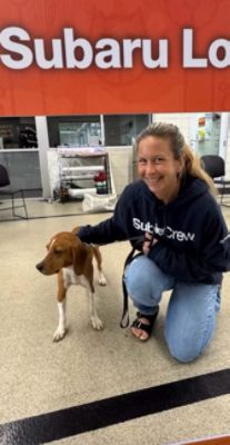 PA Caring for K9s