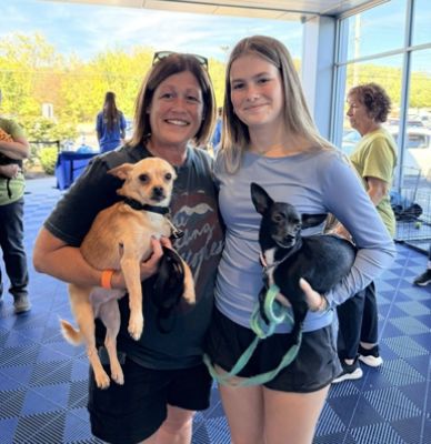 Rafferty and Providence Animal Center reach new pet adoption record