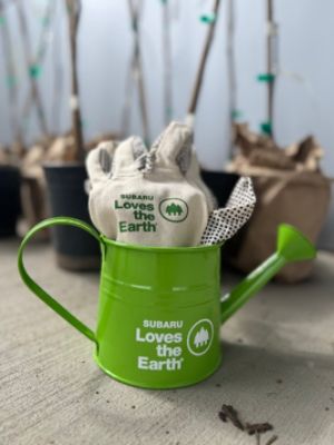 Growing a Greener Missoula: Subaru Loves the Earth Tree Giveaway