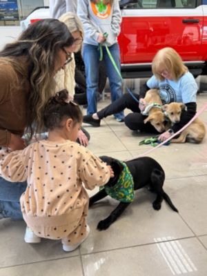 Lucky Pup on St. Patrick's