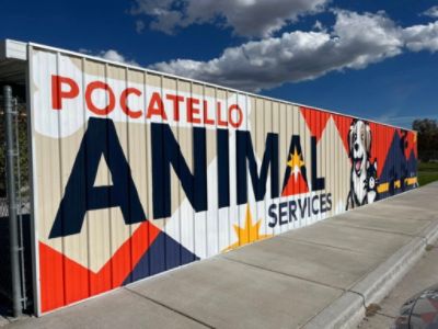 🌟 Subaru Loves Pets: A Month of Miracles in Pocatello 🌟