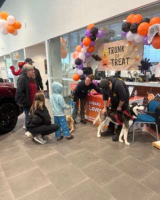 Subaru Loves Pets: Trunk or Treat