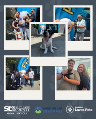 Finding Co-Pilots for Life with Mark Miller Subaru