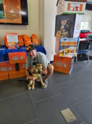 Jensen Subaru’s PURR-FECT Adoption Event