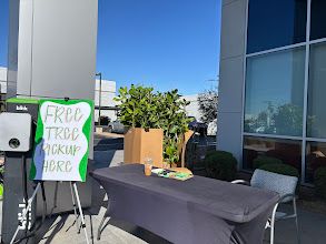 🌱 Peoria Subaru Celebrates Subaru Loves Earth! 🌱