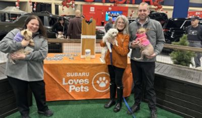 Why White Whiskers LOVES Subaru!!!