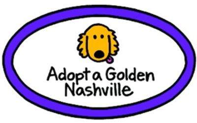 Adopt A Golden Nashville