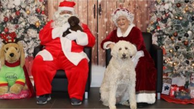 Pet Photos with Santa: A Season of Love, Healing, and Community