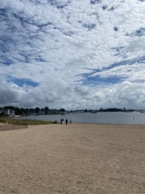 Beach Cleanup at Esker Point