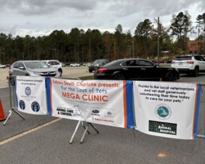 A Record-Breaking Day of Care for Charlotte's Pets