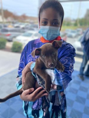 Spring Adoption Event at Rafferty Subaru