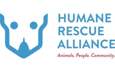 Humane Rescue Alliance (HRA)