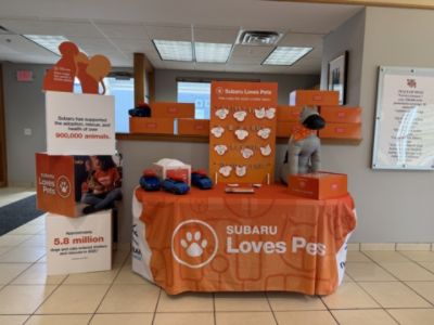 Dog Star Resue & Mitchell Subaru Pet Adoption