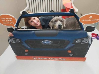 Subaru Loves Pets!!