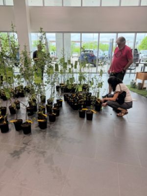 Gillman Subaru celebrates Earth Day!