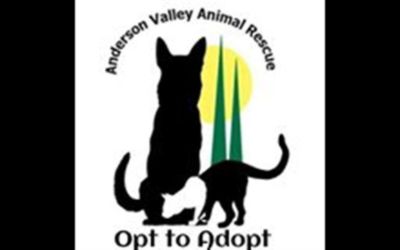 Anderson Valley Animal Rescue