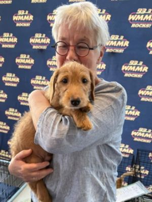 Record-breaking adoption event