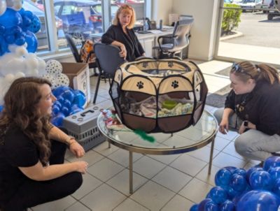 Ciocca Subaru of Flemington Hosts Subaru Loves Pets Adoption Event