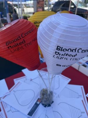 Community, Compassion, and the Subaru Love Promise in Action