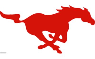 partnerCompanyName