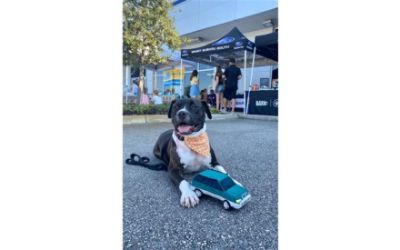 Subaru Loves Pets - Successful Adoption Event!