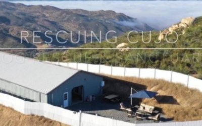 Subaru of El Cajon supports Rescuing Cujo Shelter