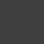 Astro Black Mica color chip
