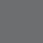 Metropolis Gray Metallic color chip