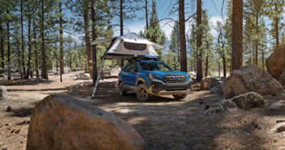 Subaru Wilderness Lineup Greater Philadelphia