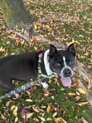 Clara Gets Her Second Chance