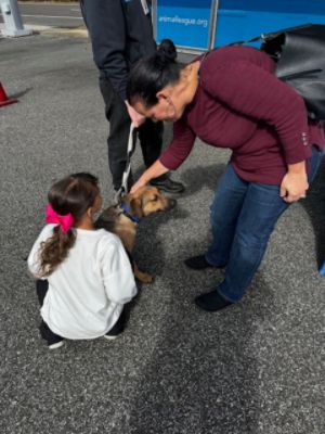 East Hills Subaru Shares the Love of Pets