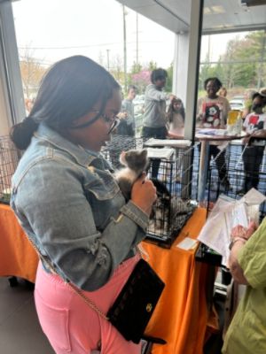Rafferty Subaru Loves Pets Initiative Sees Over 70 Pets Find Homes this Spring