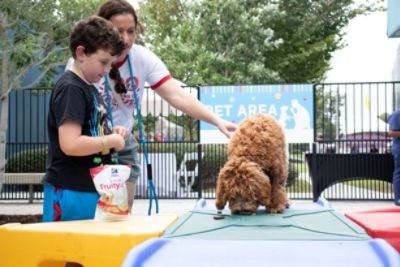 Celebrating Pet Families at the LASPCA