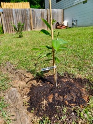 Plant a seed in the heart of a customer!