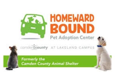Homeward Bound Pet Adoption Agency